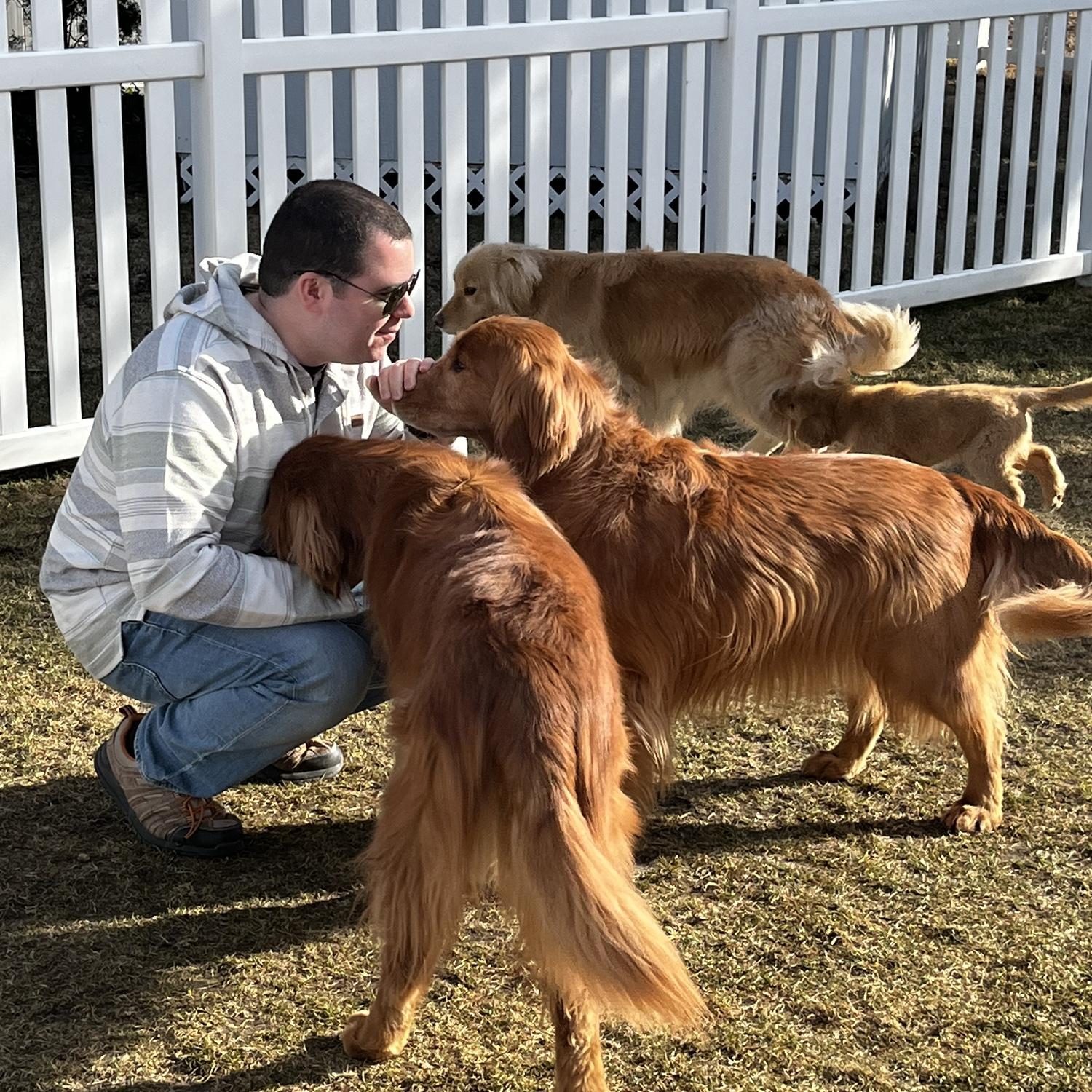 Brendan basking in the light and warmth of the Goldens