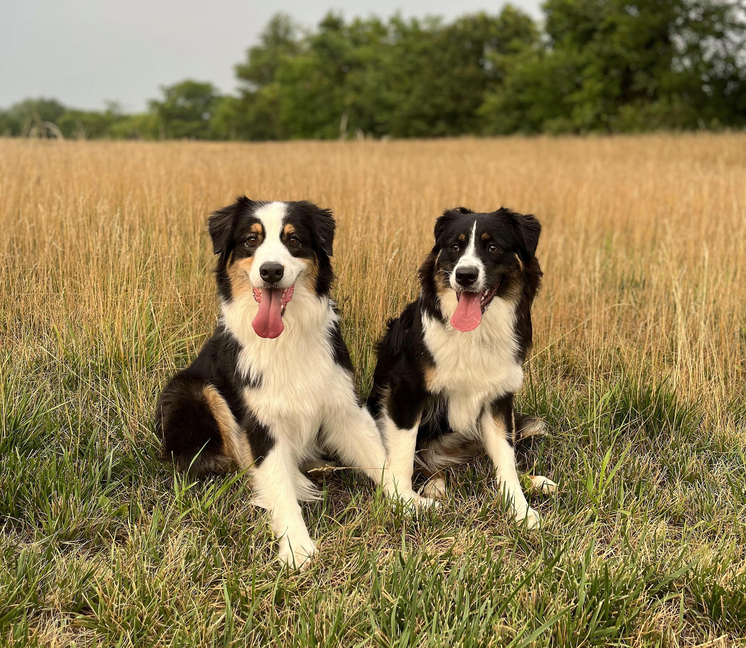 The Wedding Website of Kelsey Mullen and Spencer Jones