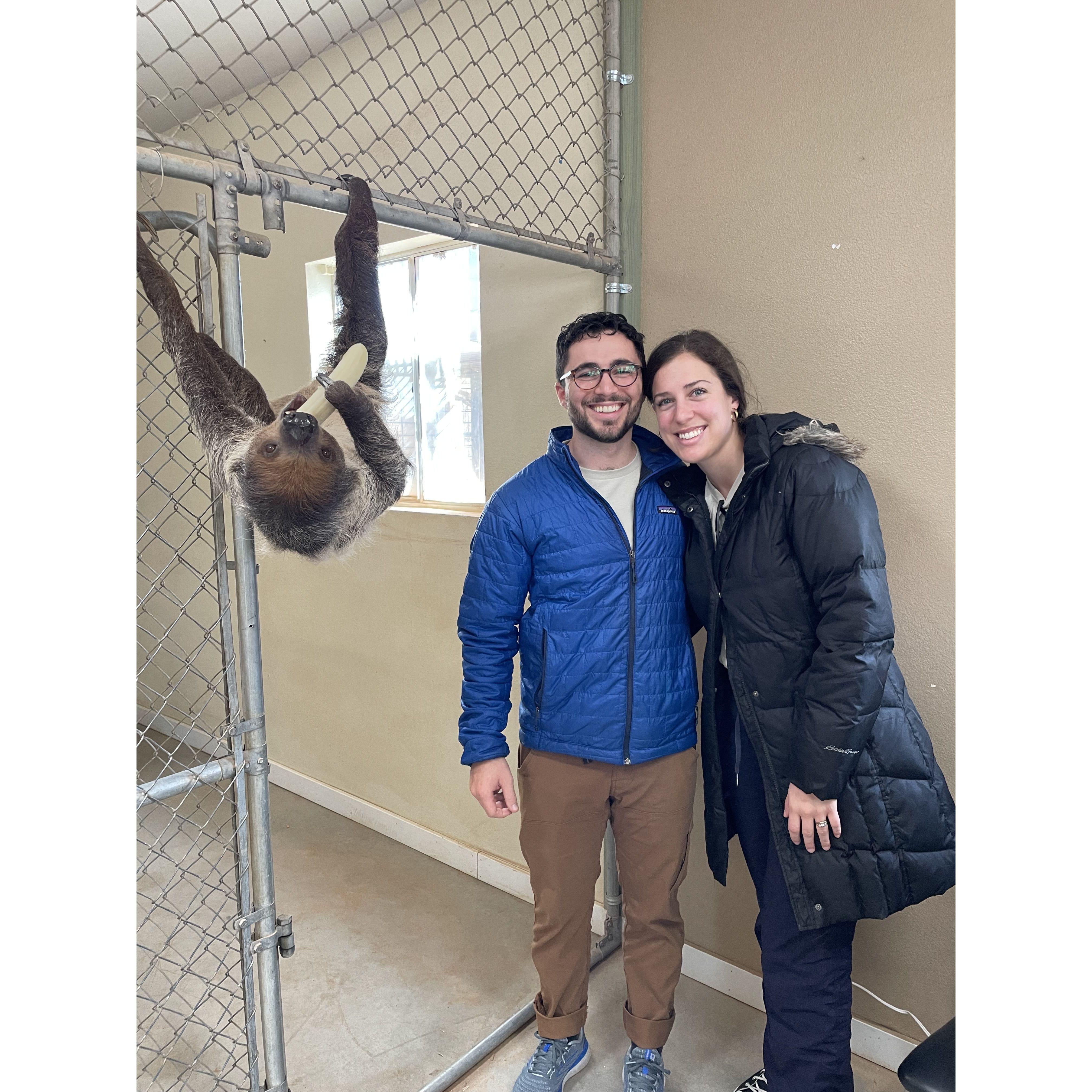 Meeting Ambien the Sloth in Vegas, November 2022