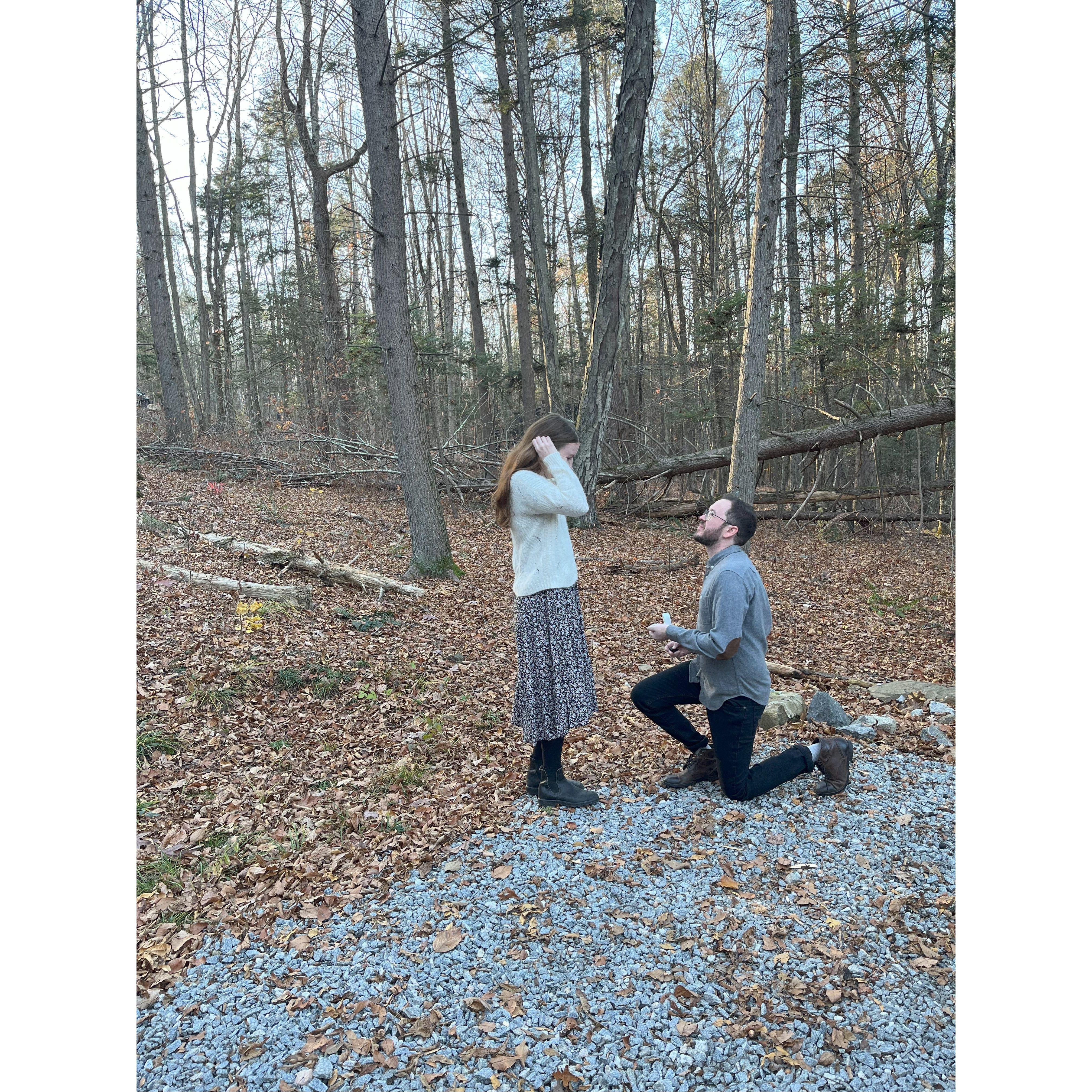 Marc proposed!! November 20th 2023