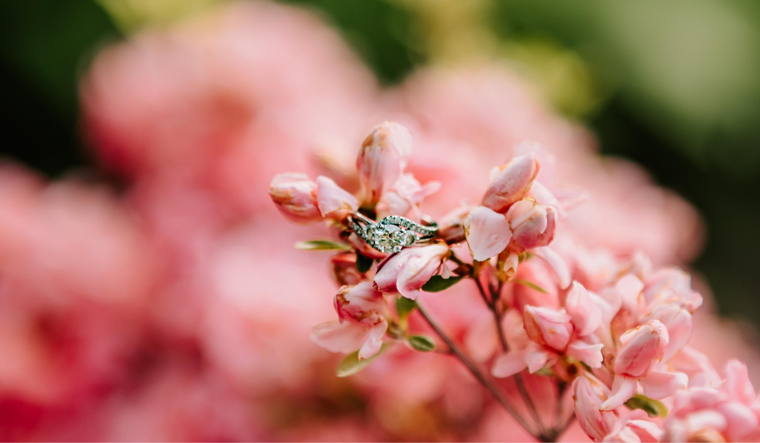 The Wedding Website of Erin Barg and Kyle Munson