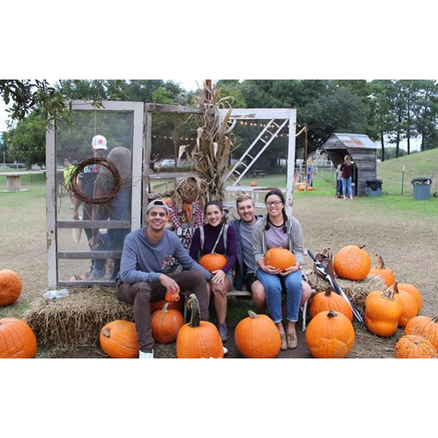 cutest pumpkins in the patch