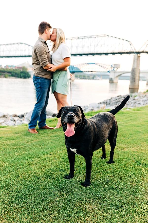The Wedding Website of Sarah Utterback and Craig McDonough