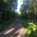 Ice House Trail