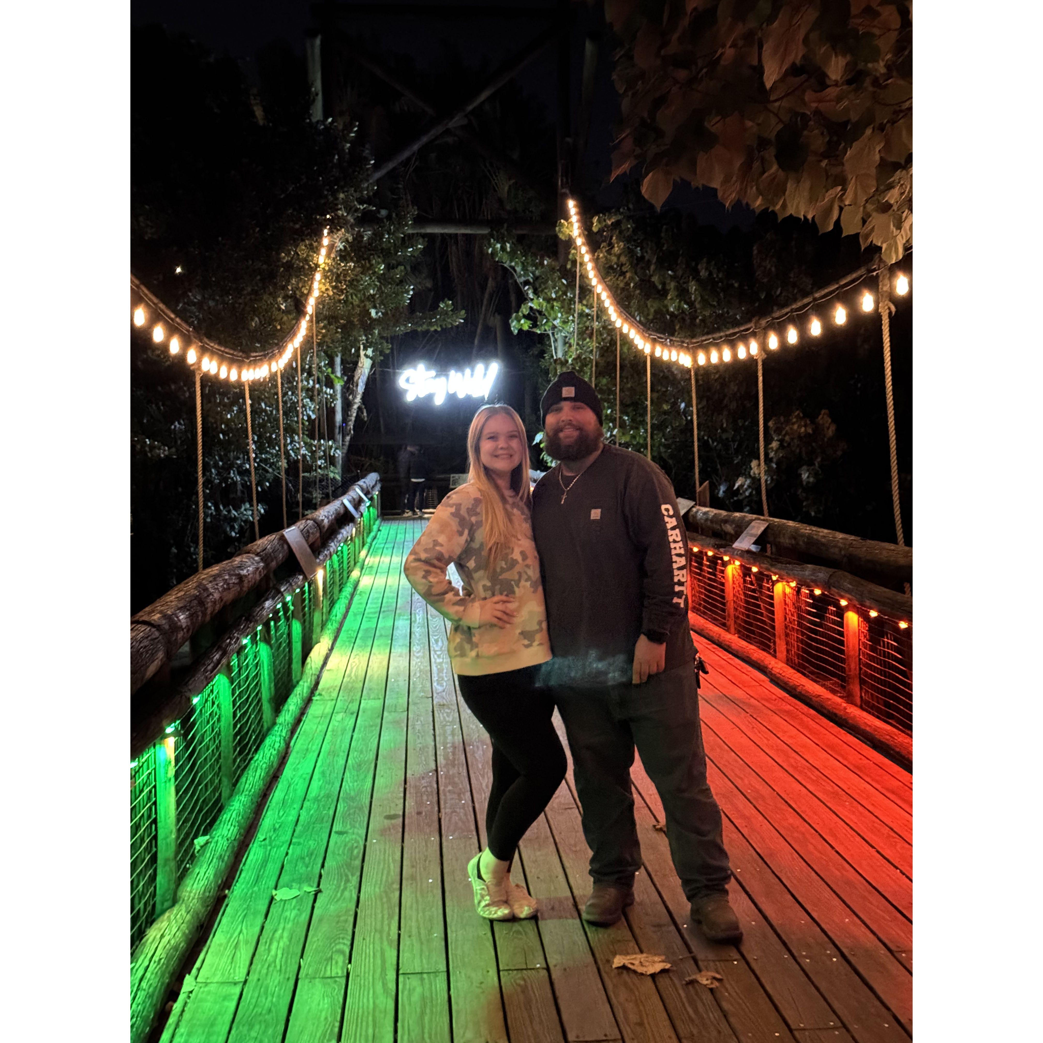 Christmas light show at the Zoo!