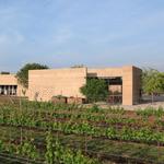 Cuna de Tierra Winery
