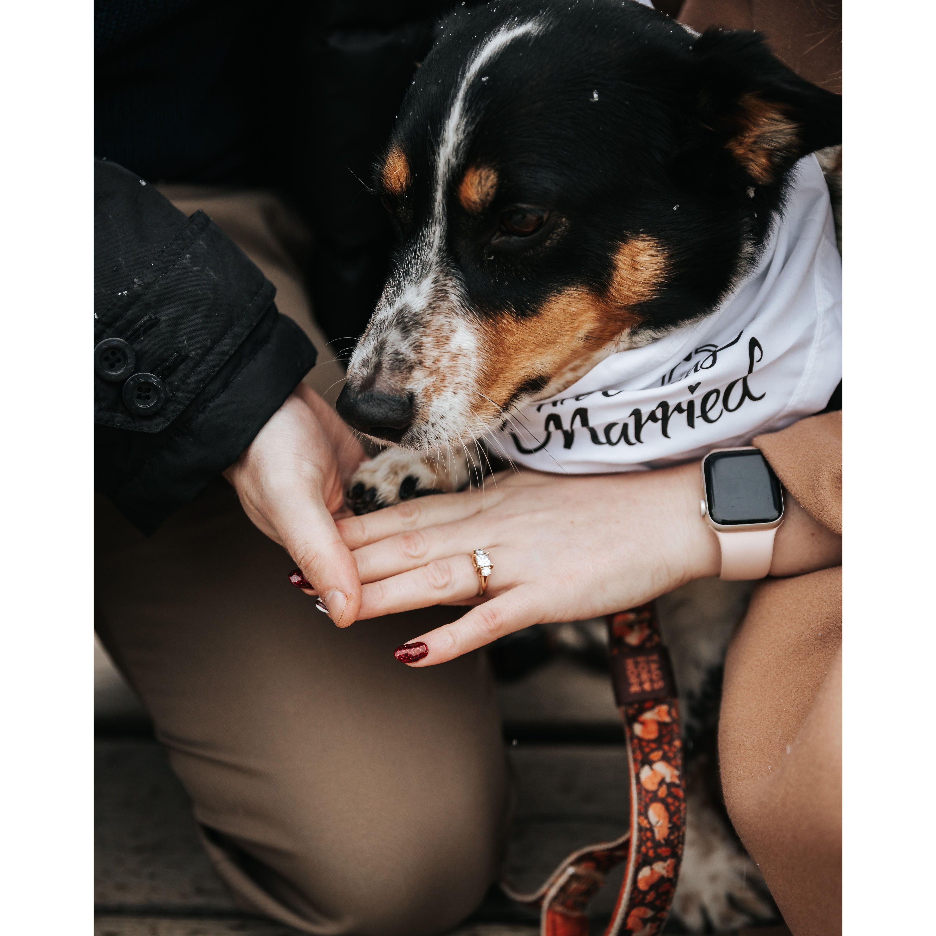 Photo by Joel Godri https://joelgodri.wixsite.com/portfolio