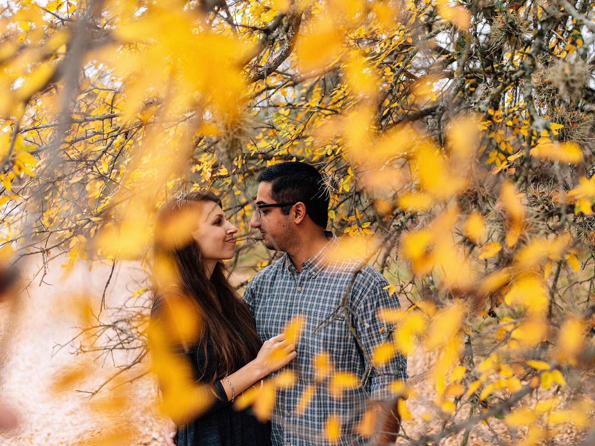 The Wedding Website of Diane McVey and Saam Miremadi