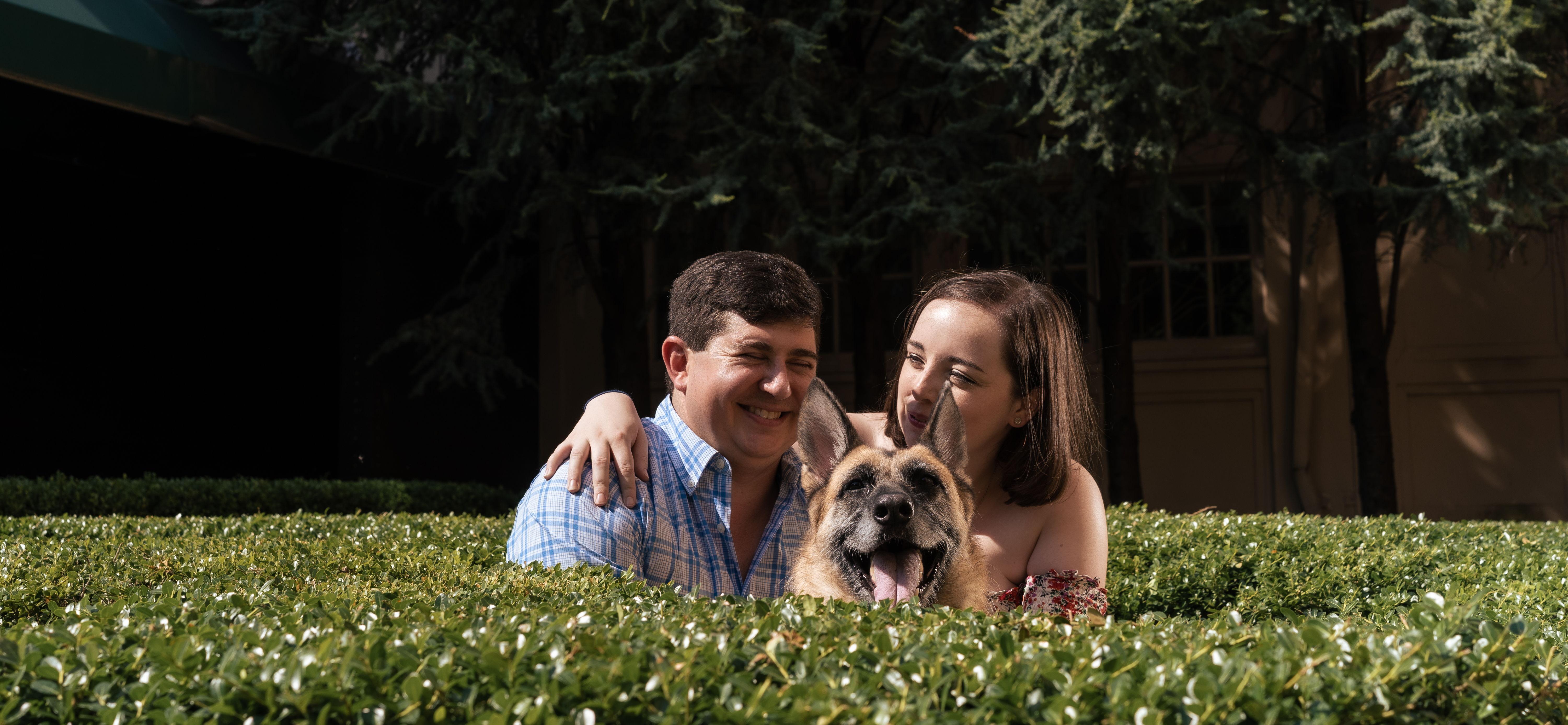 d3dd7dc8-7c42-4c09-afea-81483d7e397d