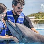 Swimming with dolphins
