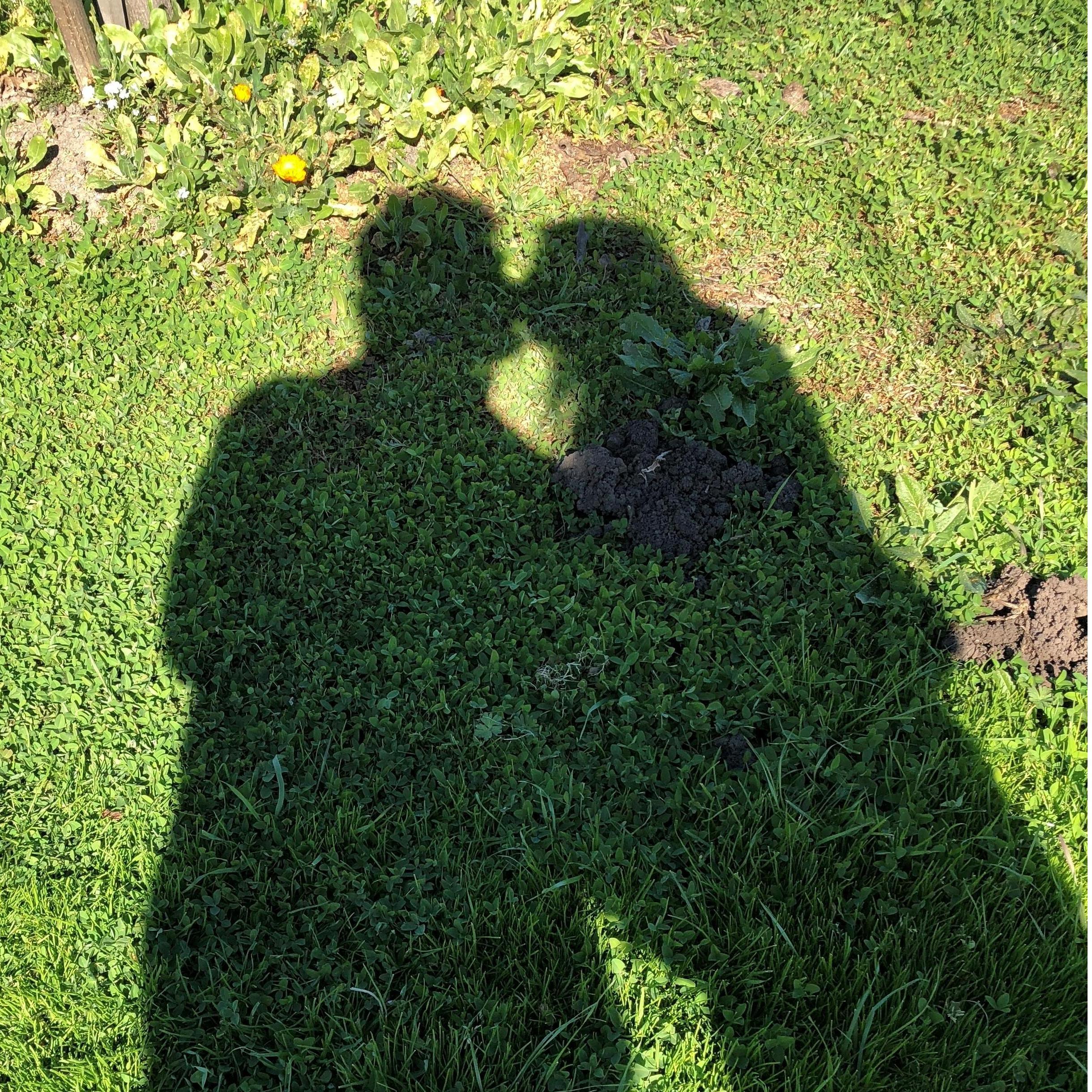Love!