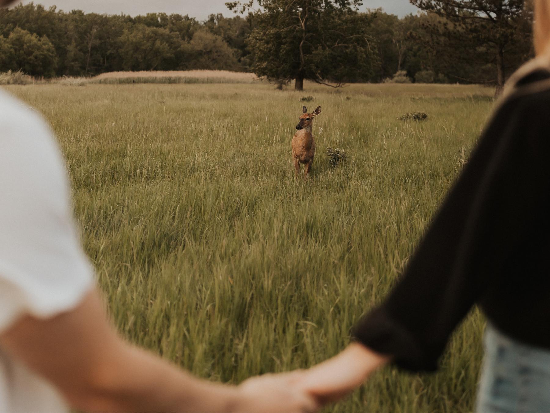 The Wedding Website of Jack Zagrobelny and Marta McLaughlin