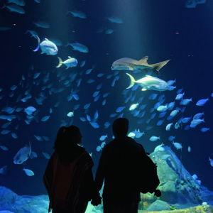 Aquarium tickets for two