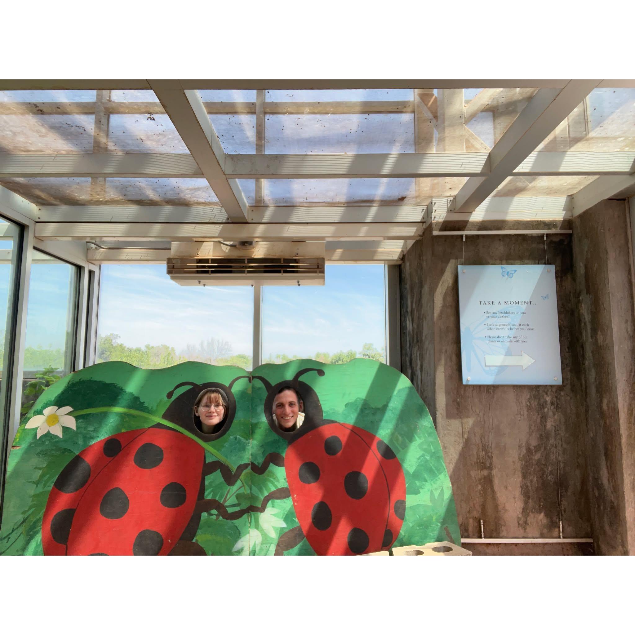 We're bugs!