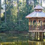 South Carolina Botanical Garden