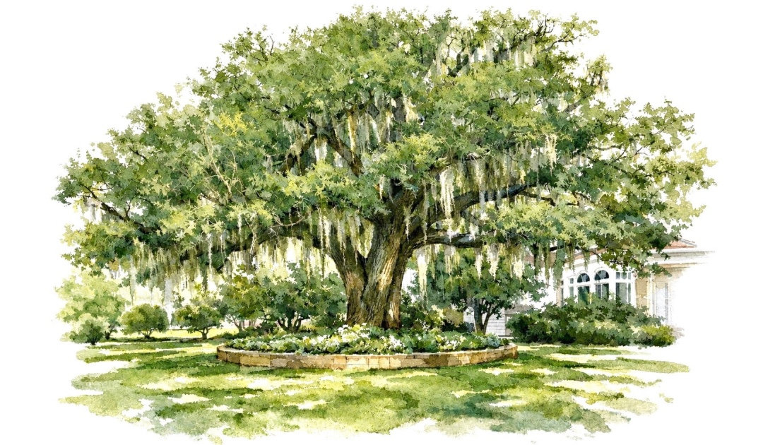 The Wedding Website of Isabella Jacobs and Henry Underwood