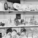 HALO Animal Rescue Thrift Boutique
