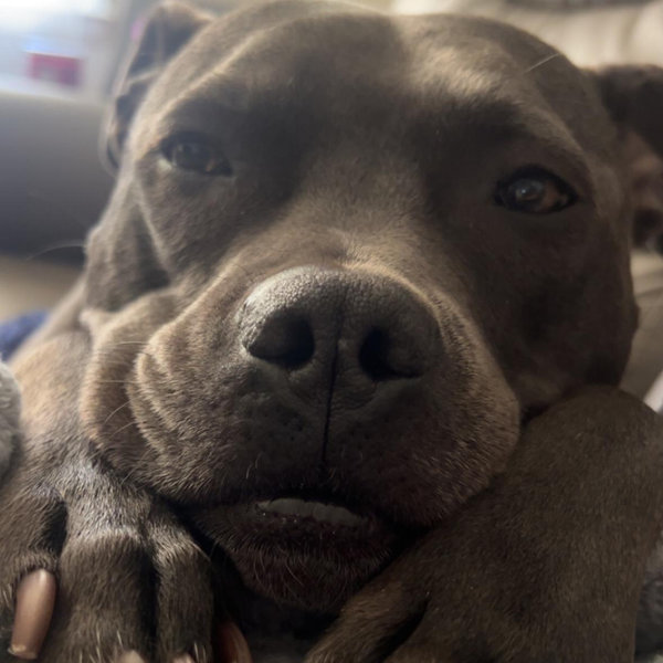 Luna Care for our honeymoon!