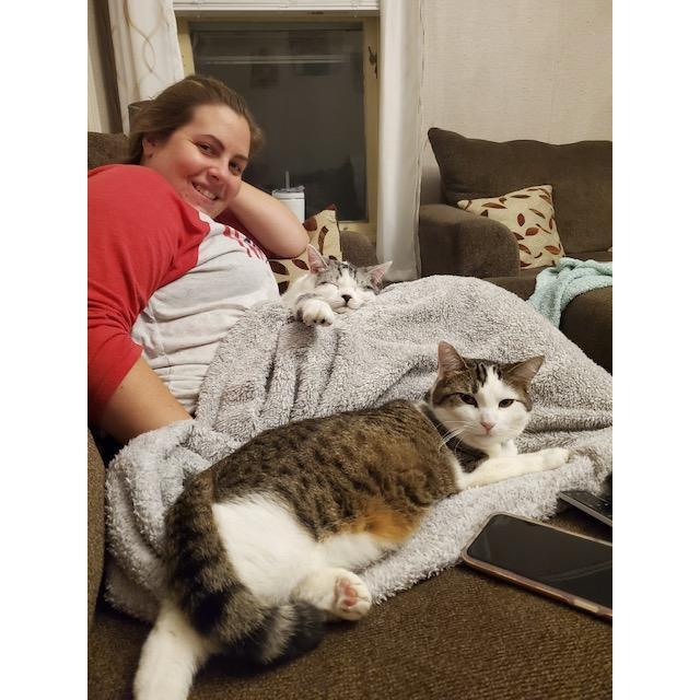 Kitto cuddle time!