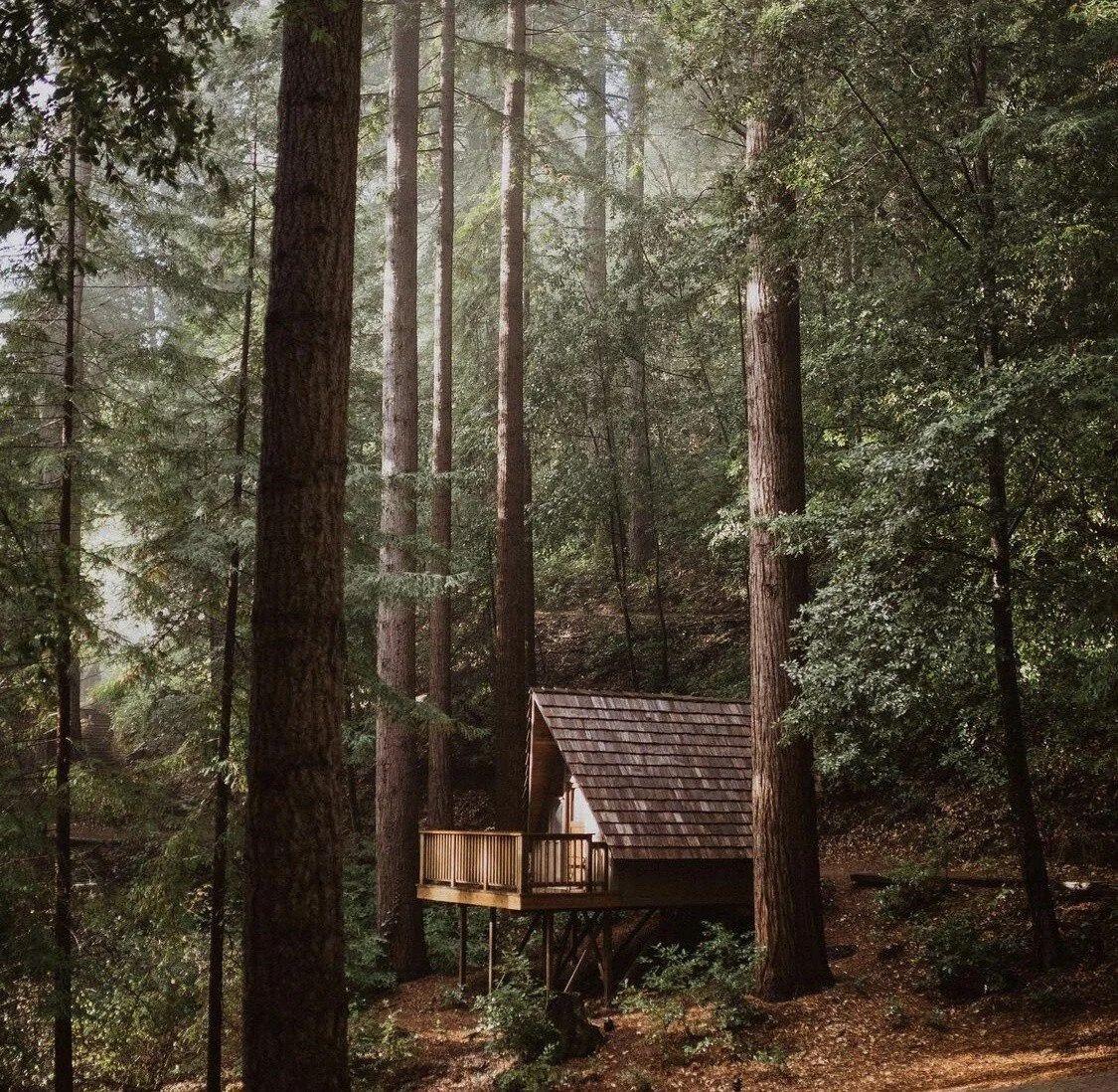 The Wedding Website of Bruno Oliveira and Anne Lima