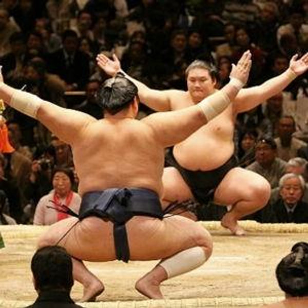Sumo Wrestling Show