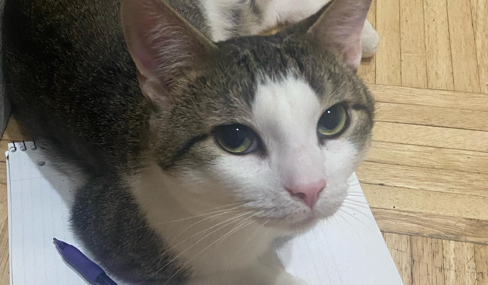 The Wedding Website of Trista Johnson and Brittany McBee