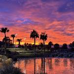Angel Park Golf Club