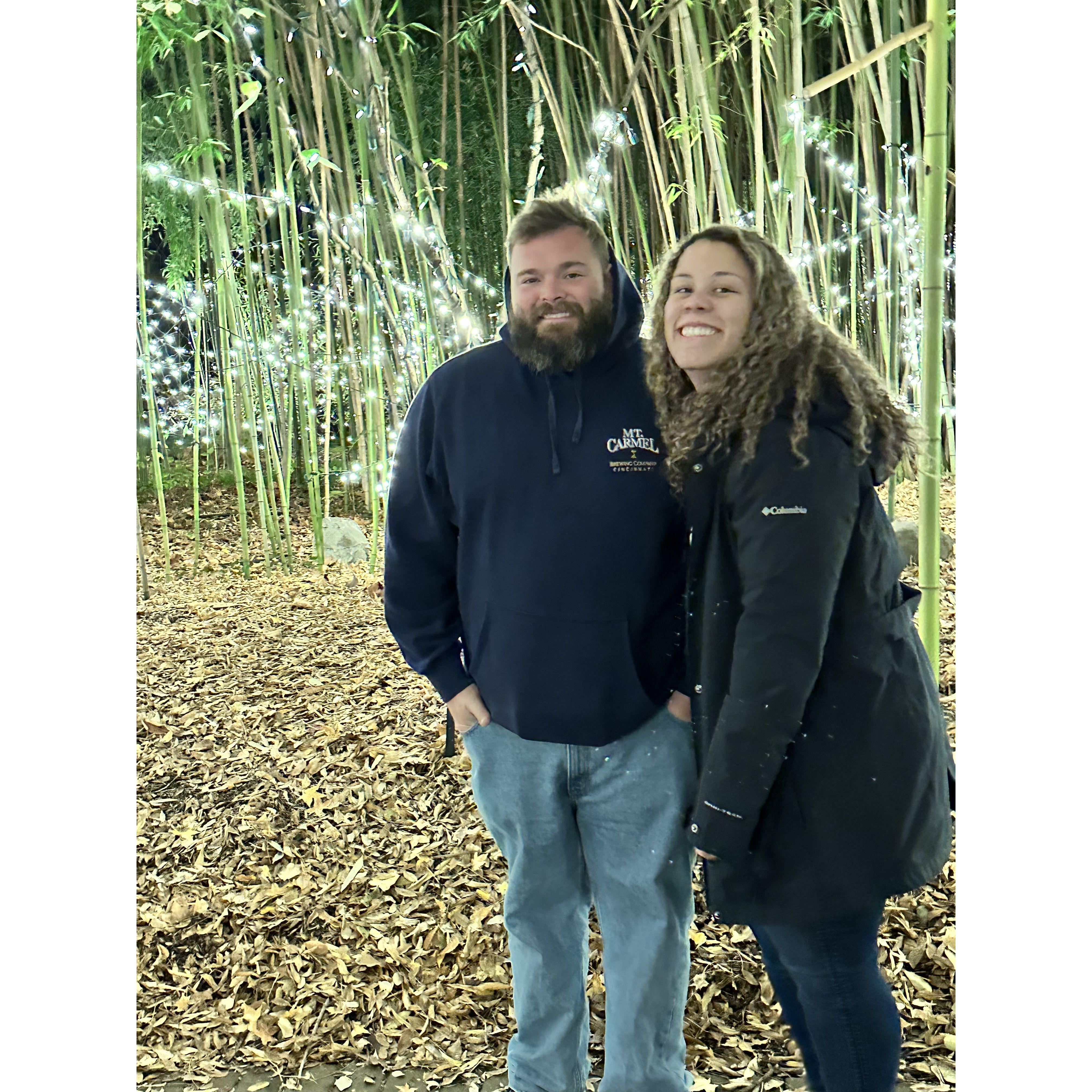 Festival of Lights at Cincinnati Zoo