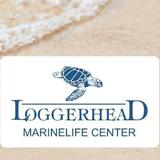 Loggerhead Marinelife Center