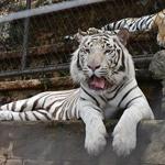 Emperor Valley Zoo