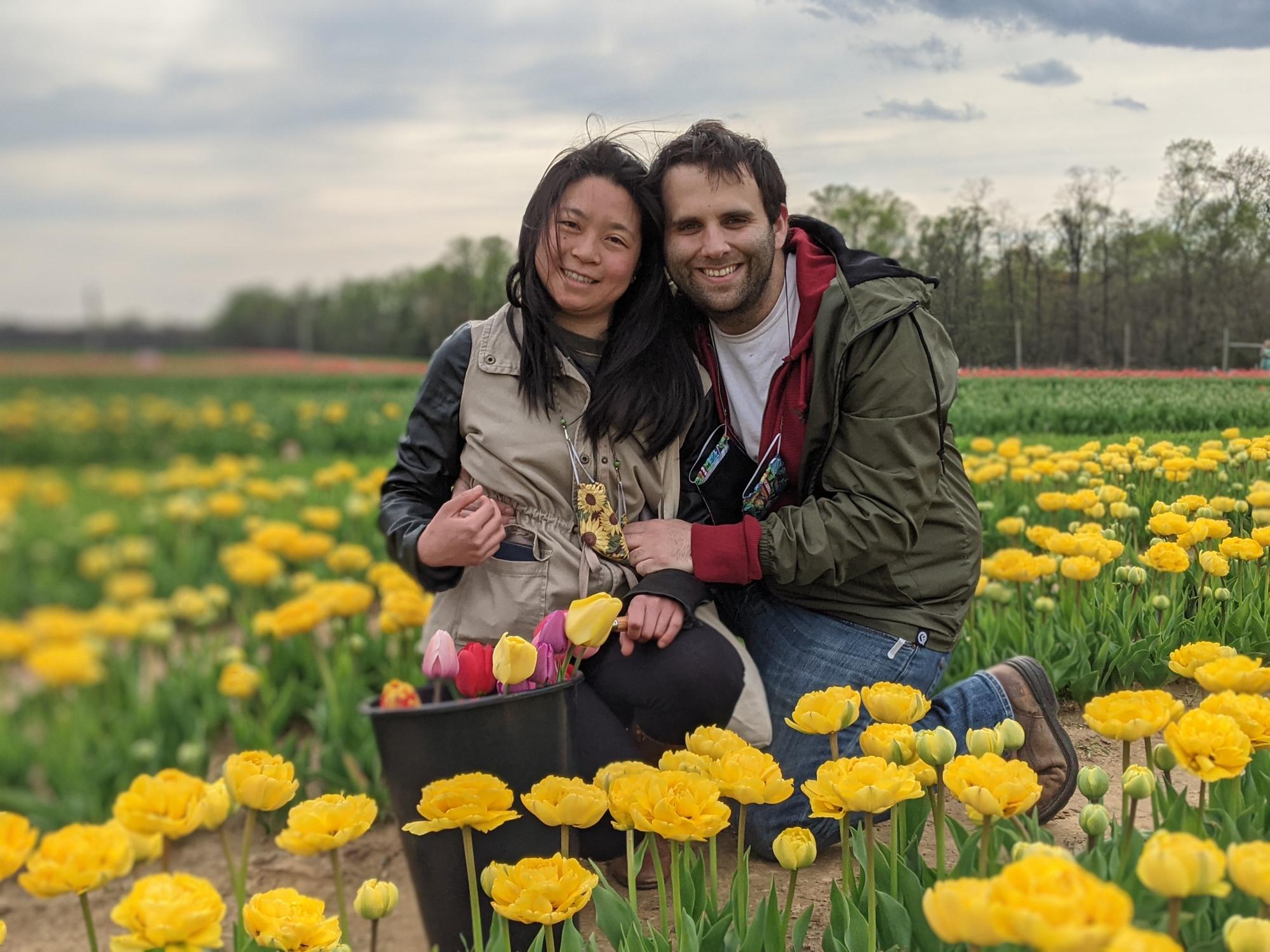 Tulip Farm