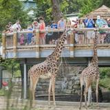 Cleveland Metroparks Zoo
