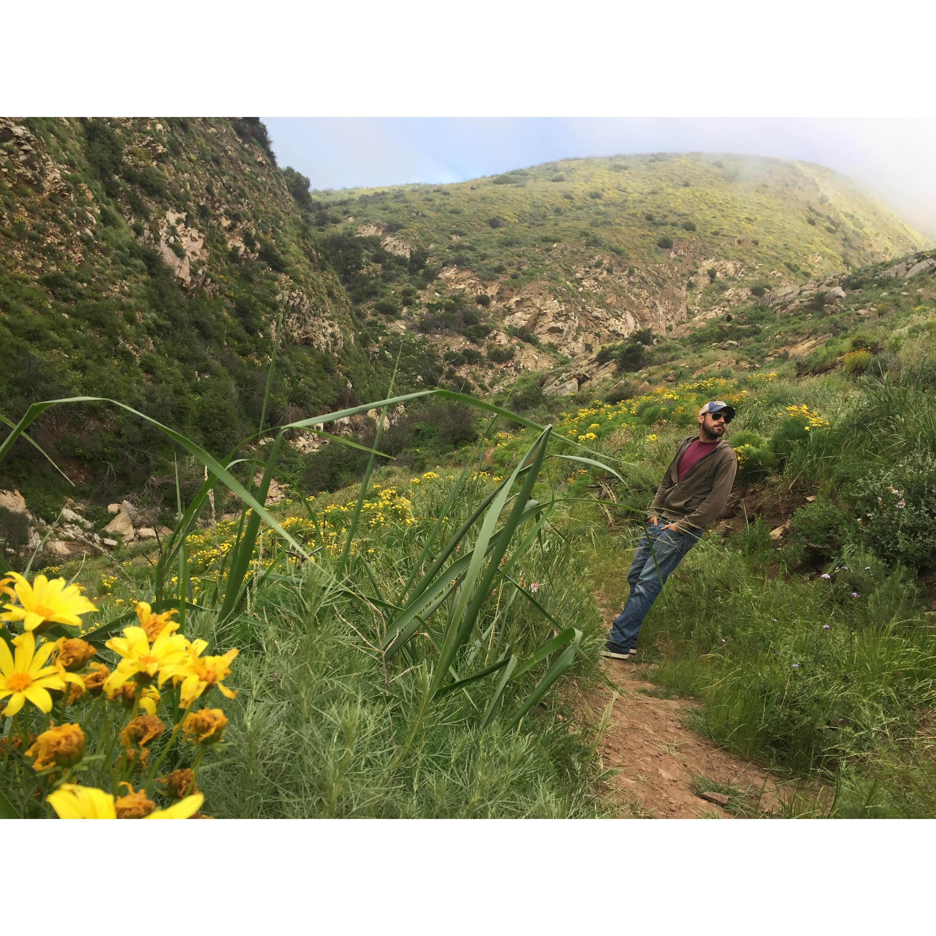 Taking in the super bloom in Malibu Canyon