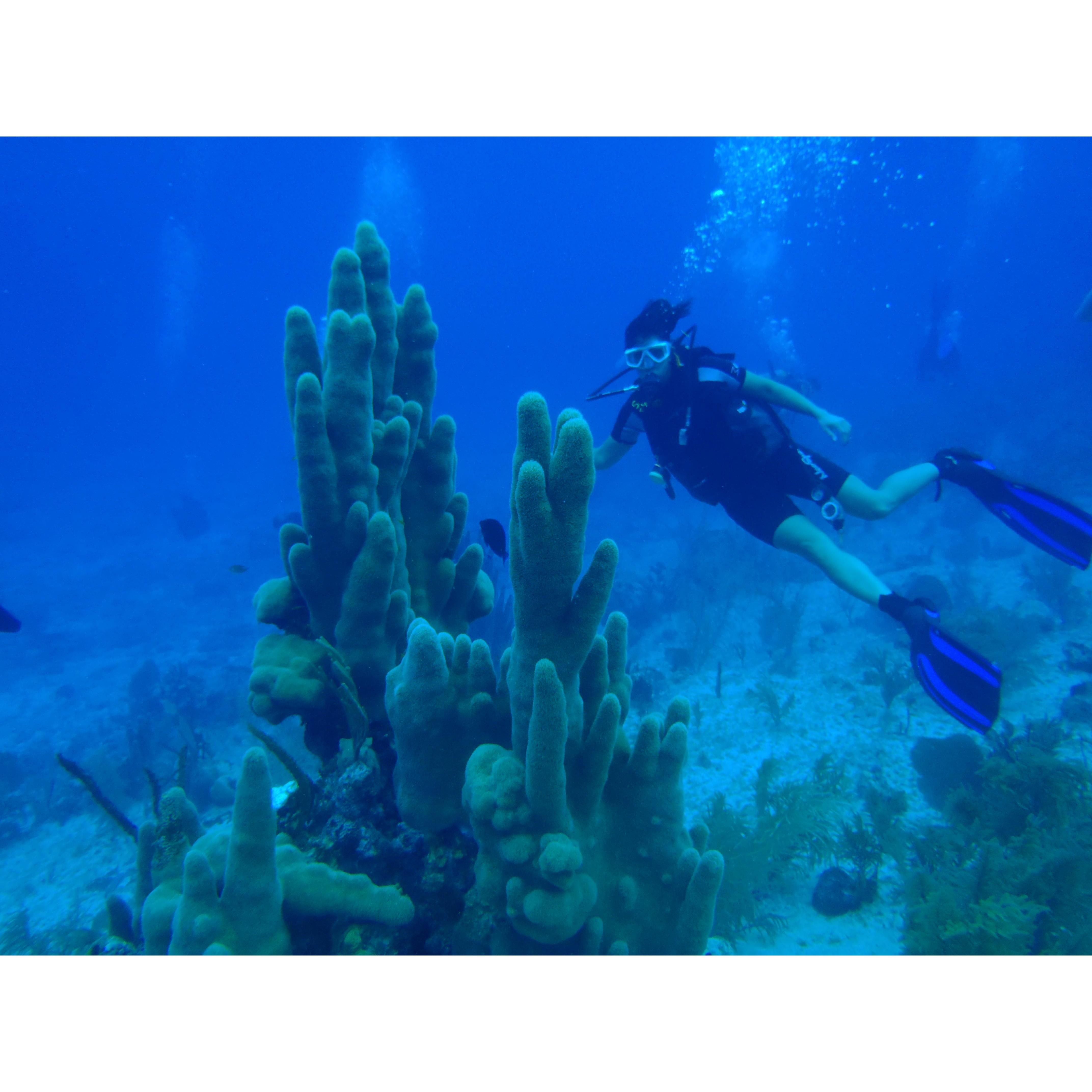 Grand Cayman