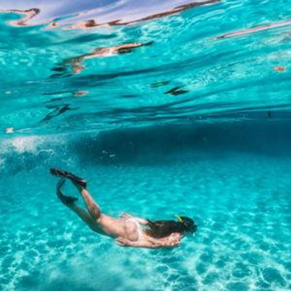 Diving in corsica