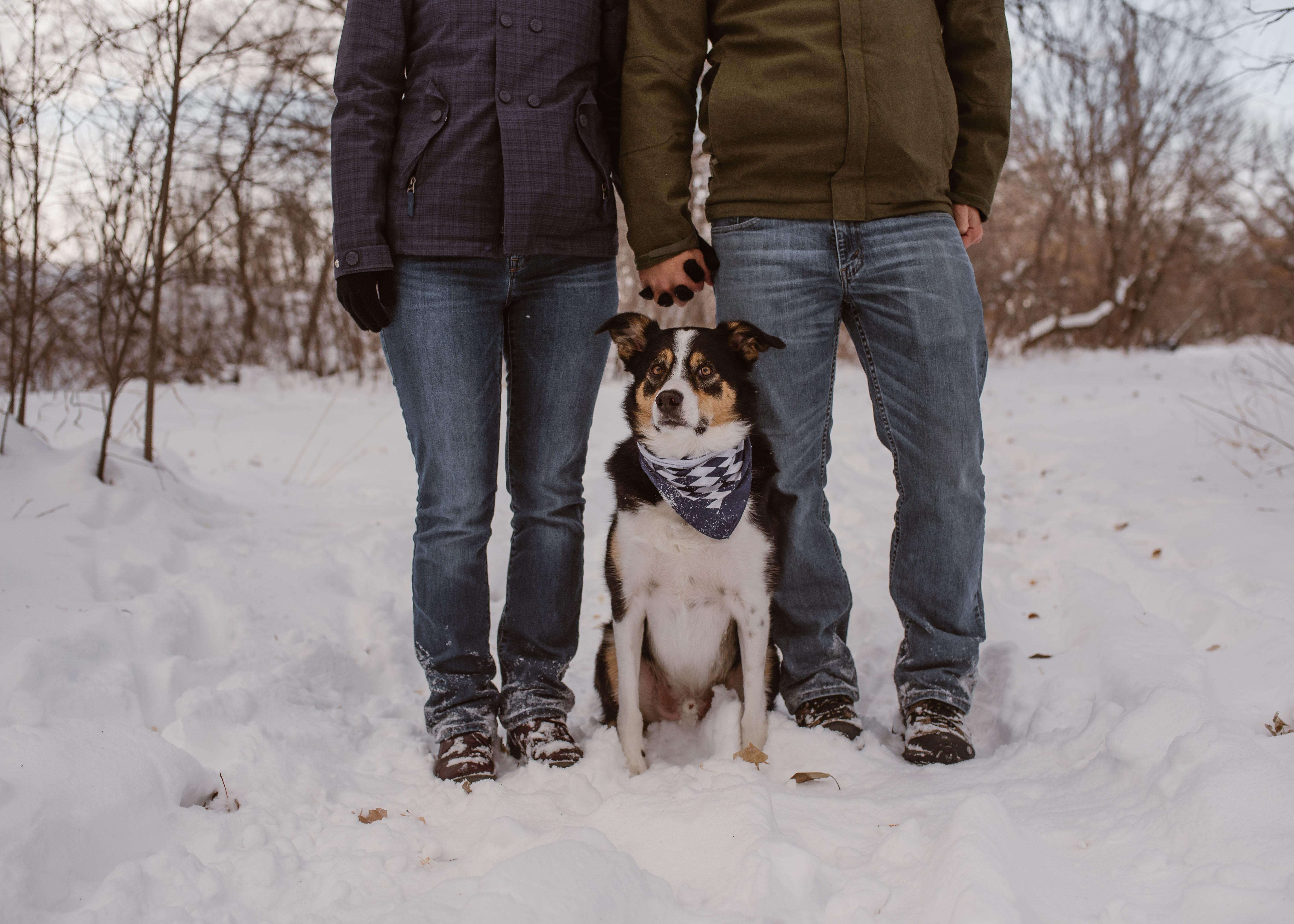 The Wedding Website of Katie Mingo and Brandon Reich