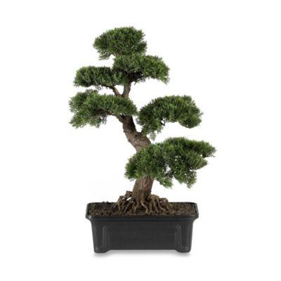 Nearly Natural 24-Inch Silk Cedar Bonsai Tree