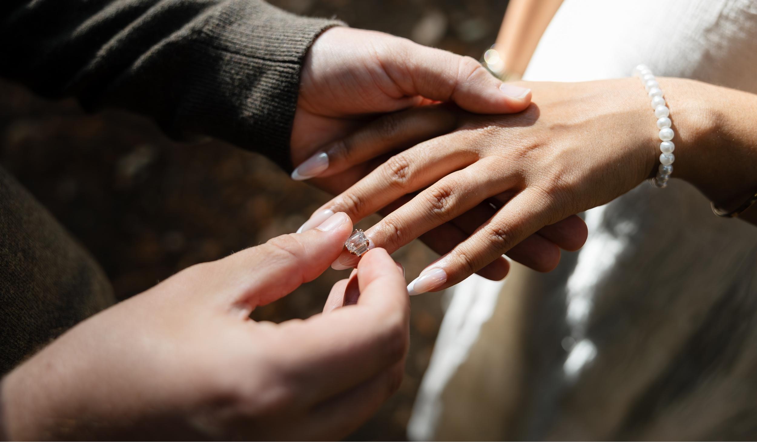 The Wedding Website of Michela Peterson and Elijah Scholl