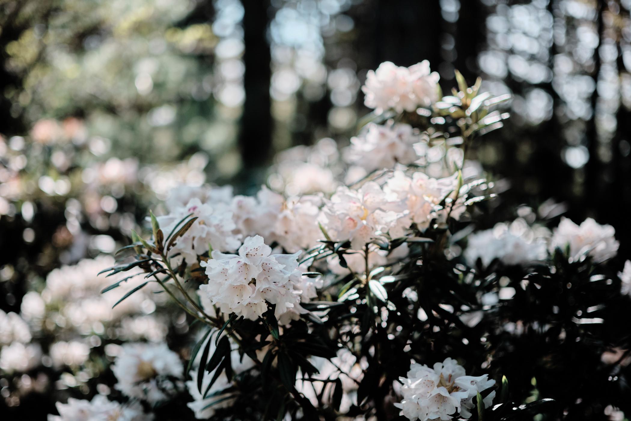 The Wedding Website of Megan Galinsky and Alex Kesterson