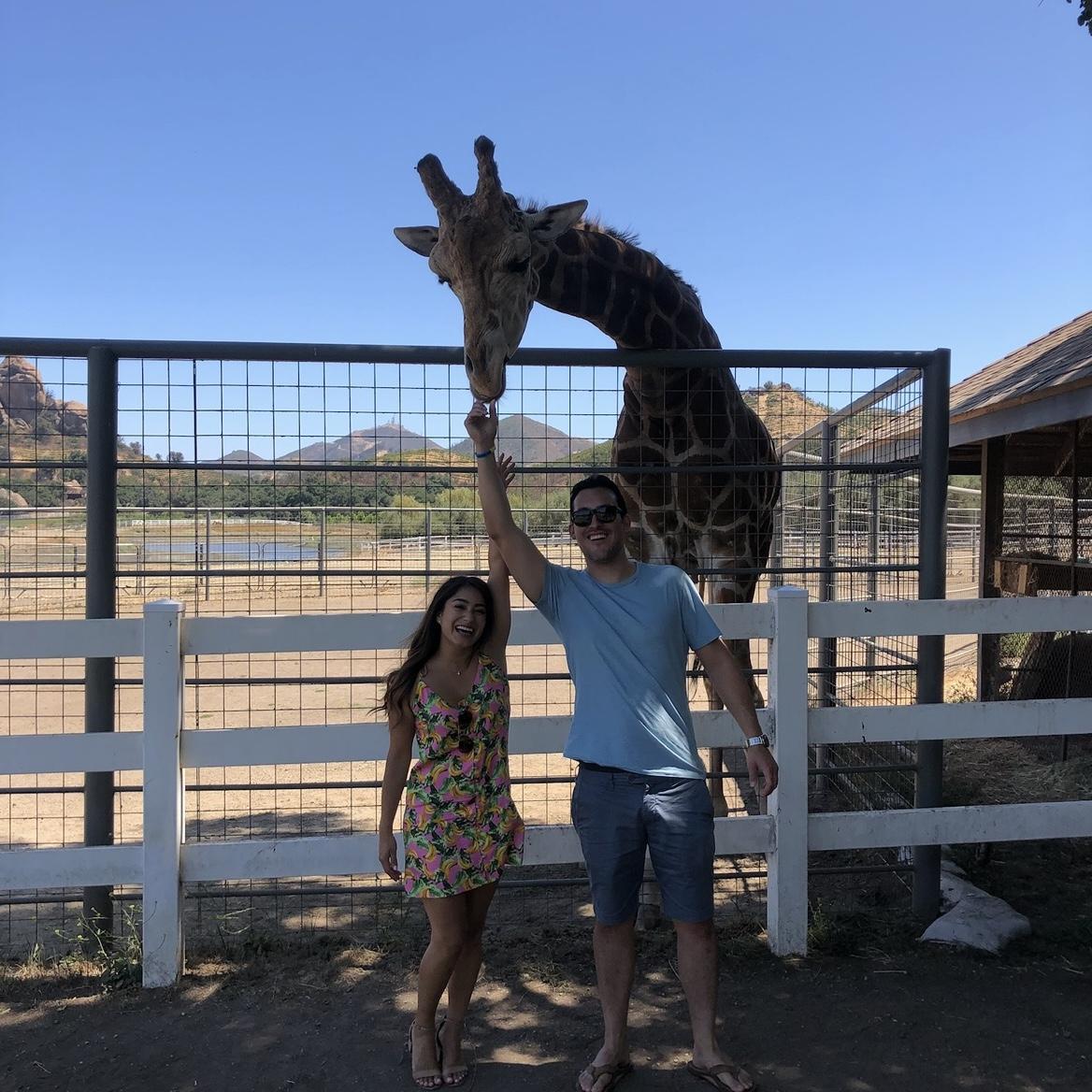 Malibu Wine Safari 2019