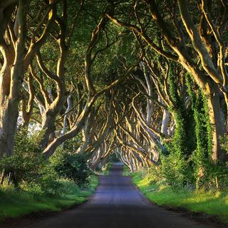 Giant's Causeway & Northern Ireland Highlights for 2