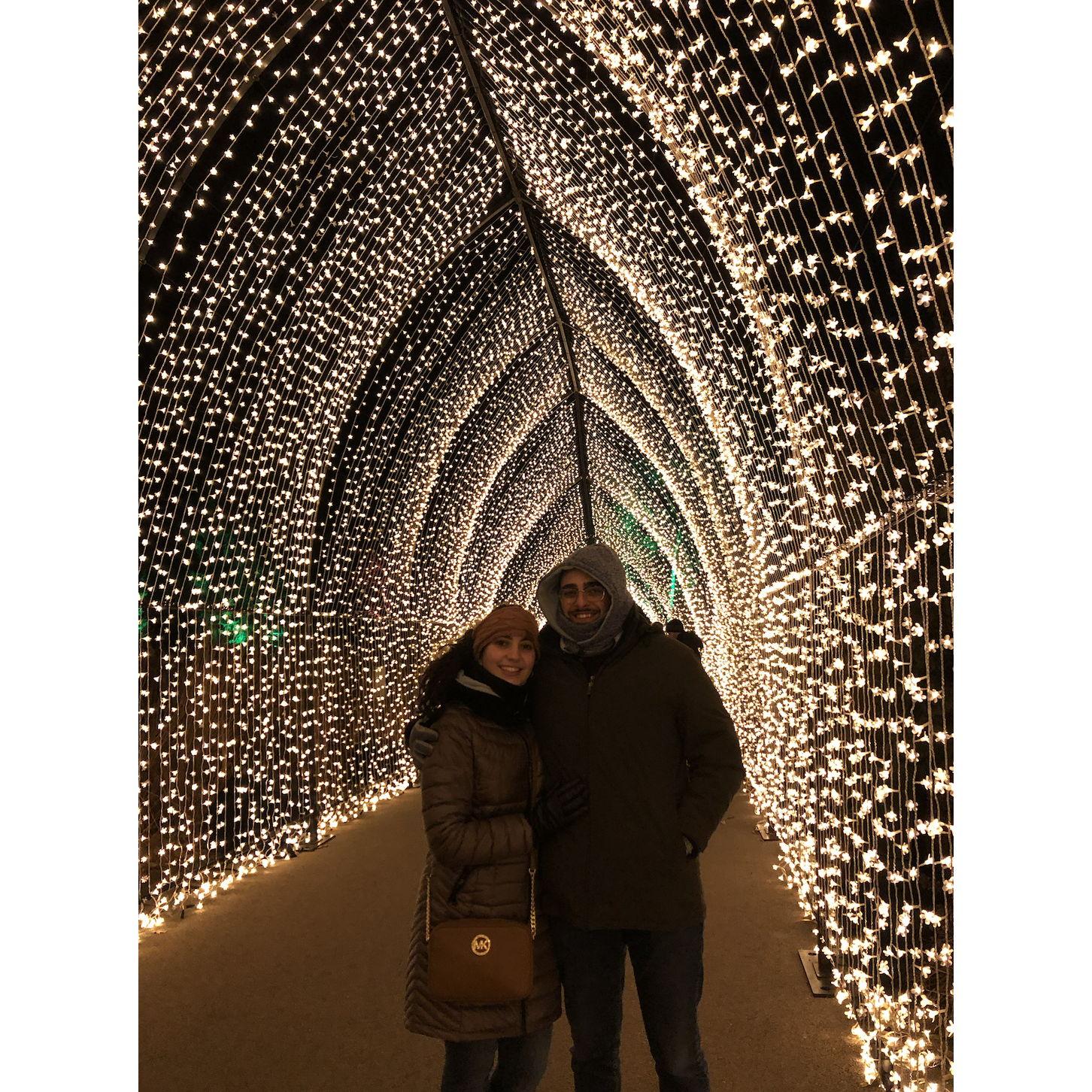 Chicago Christmas lights - 2019