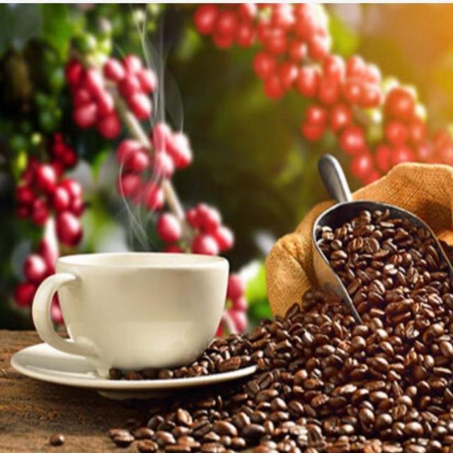 Tanzania Coffee Tour - Honeymoon Experience