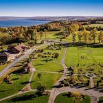 Anyela's Vineyards