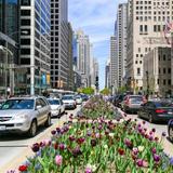 Magnificent Mile