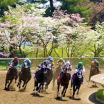 Keeneland