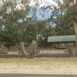 Bordertown Wildlife Park