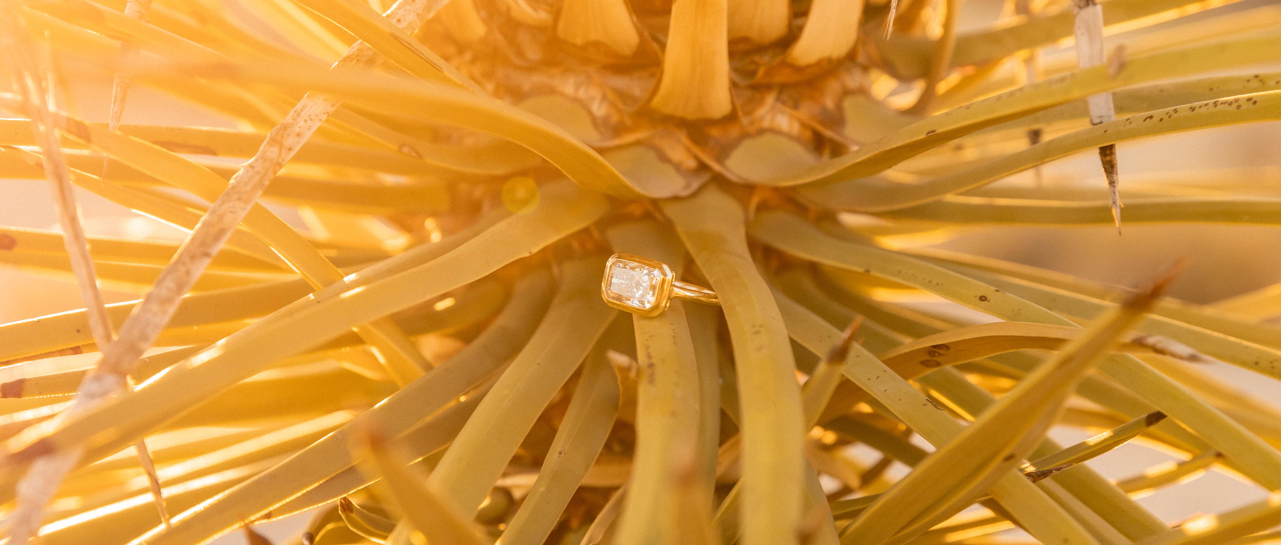 The Wedding Website of Steffanie Badgett and Christopher Montijo