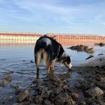 Great Hikes 30-Minutes From STL
