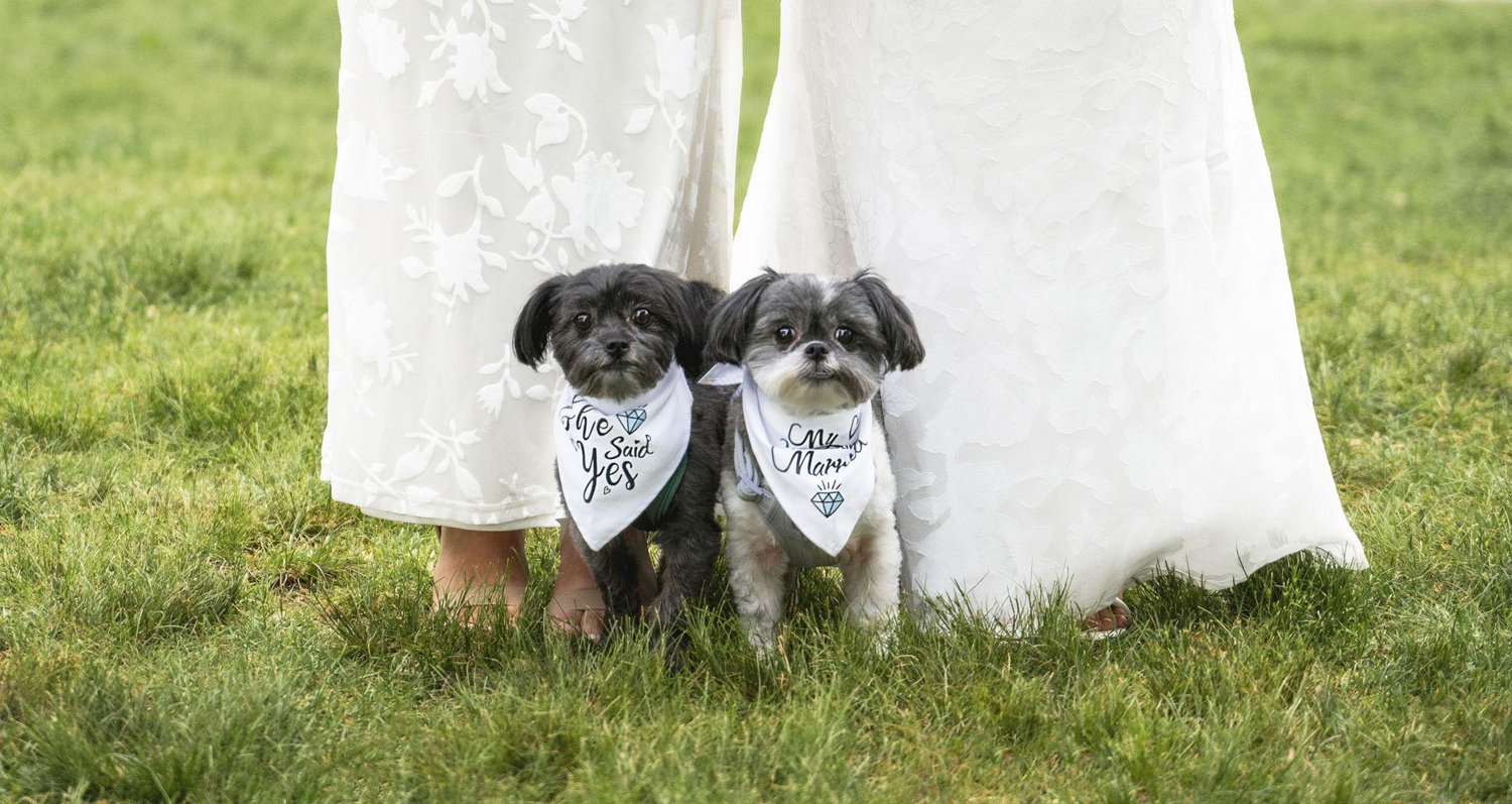 The Wedding Website of Alyssa Valles and Kiara Raposa